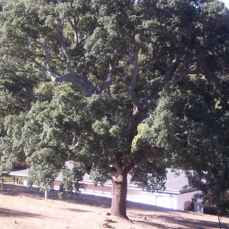 Azibo E Restaurante فندق Podence