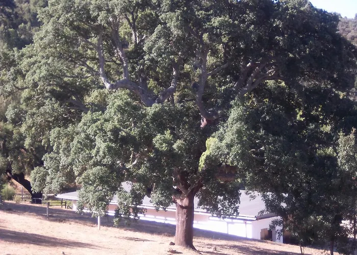 Azibo E Restaurante Hotel Podence